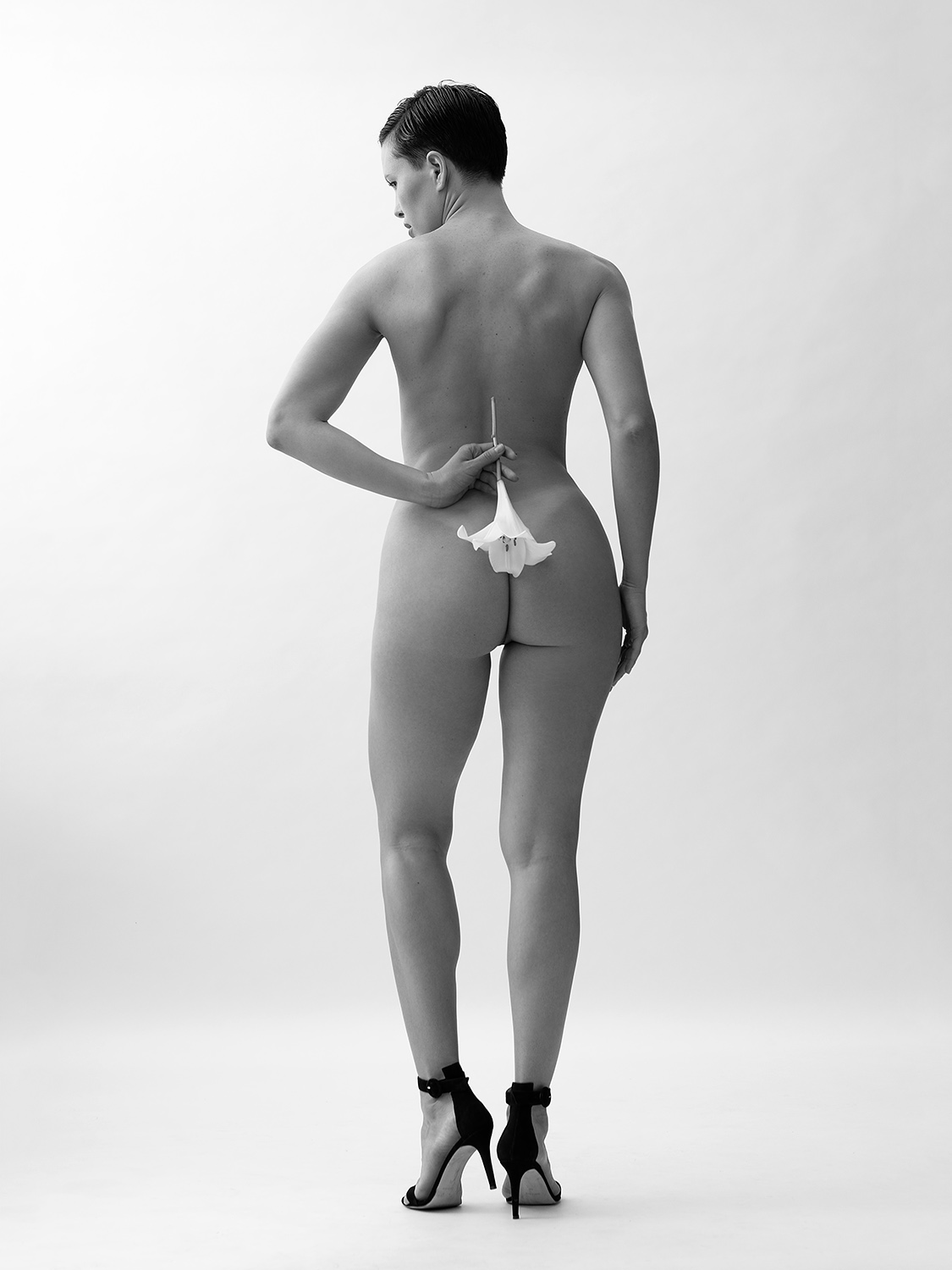 Gallery Images