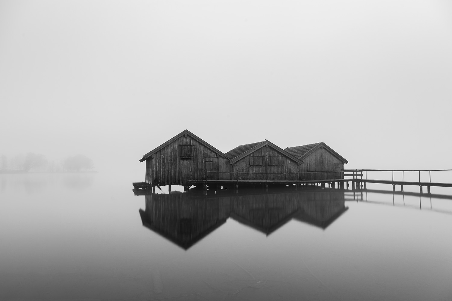 Gallery Images