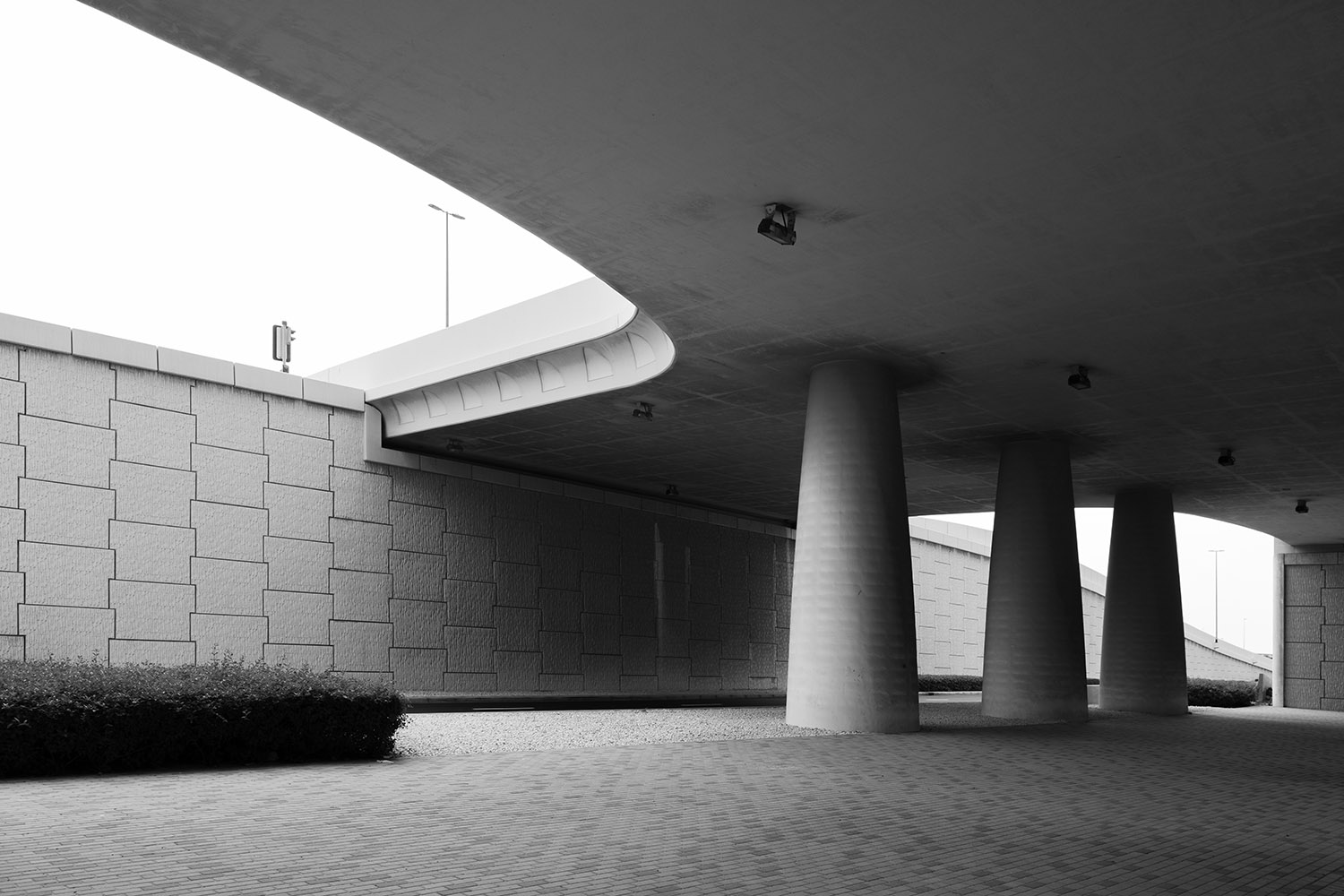 Gallery Images